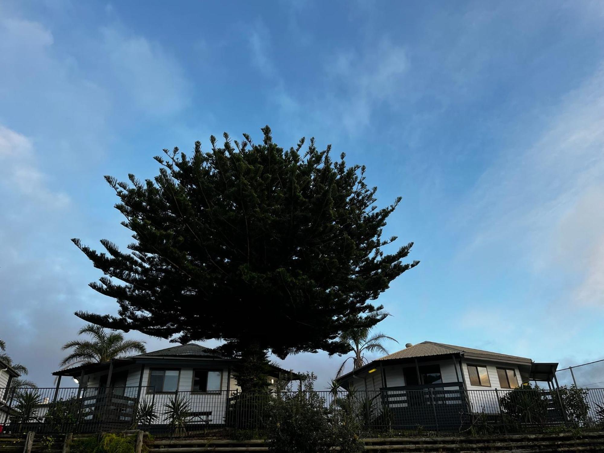 Shelly Beach Holiday Park Entrance Екстер'єр фото